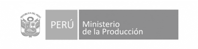 Partner 18