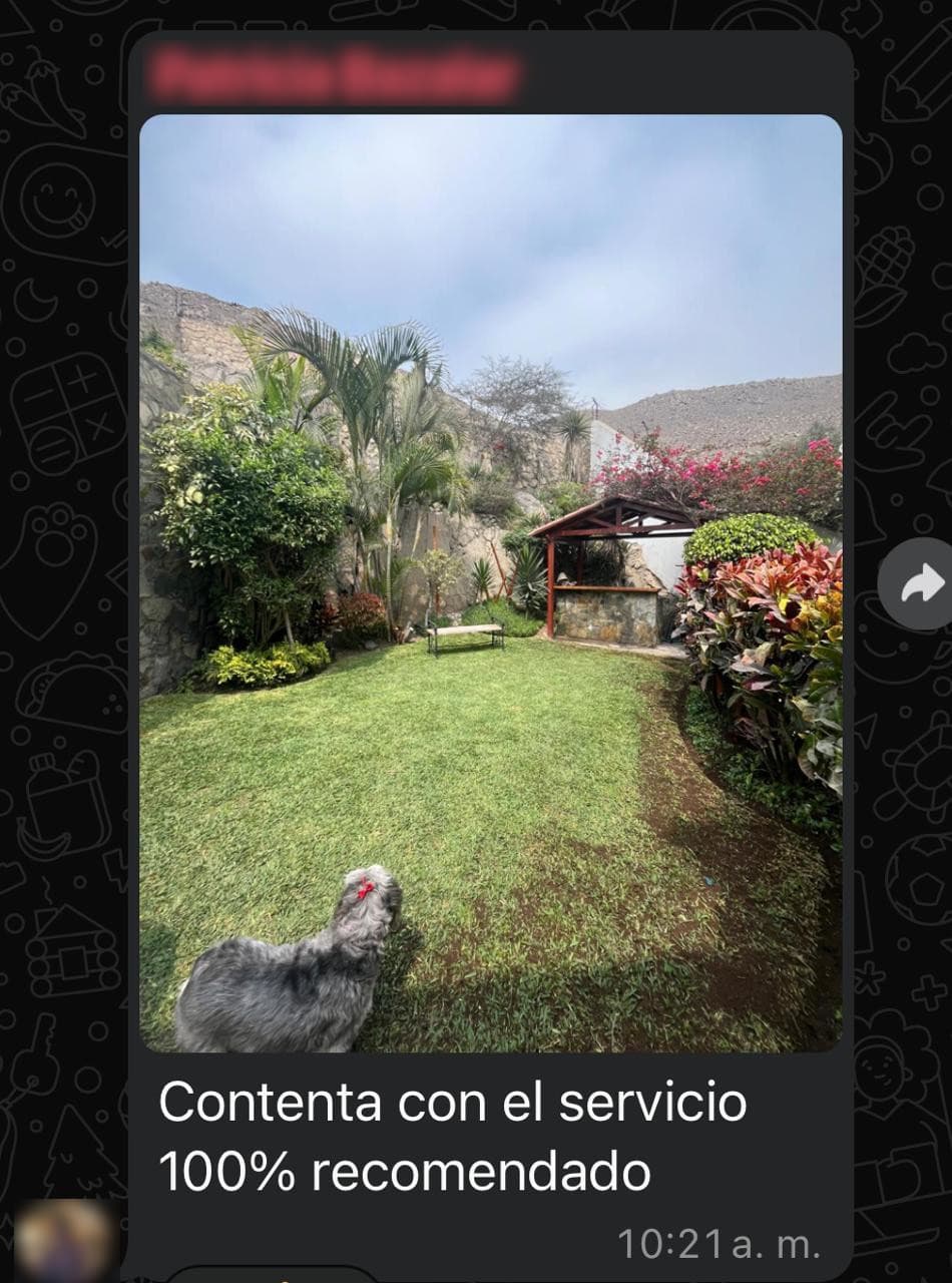 Servicio Domber 3